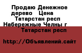 Продаю Денежное дерево › Цена ­ 70 - Татарстан респ., Набережные Челны г.  »    . Татарстан респ.